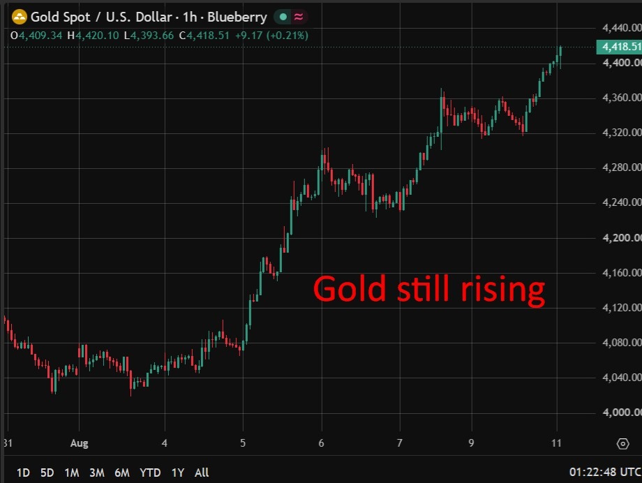 Gold hits two-month high as markets await US inflation data this week