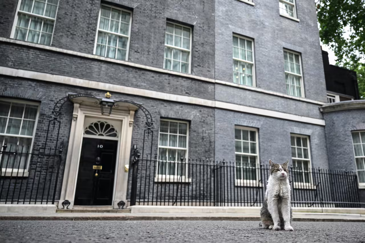 Why the country with great political turmoil still has the best bonds to buy