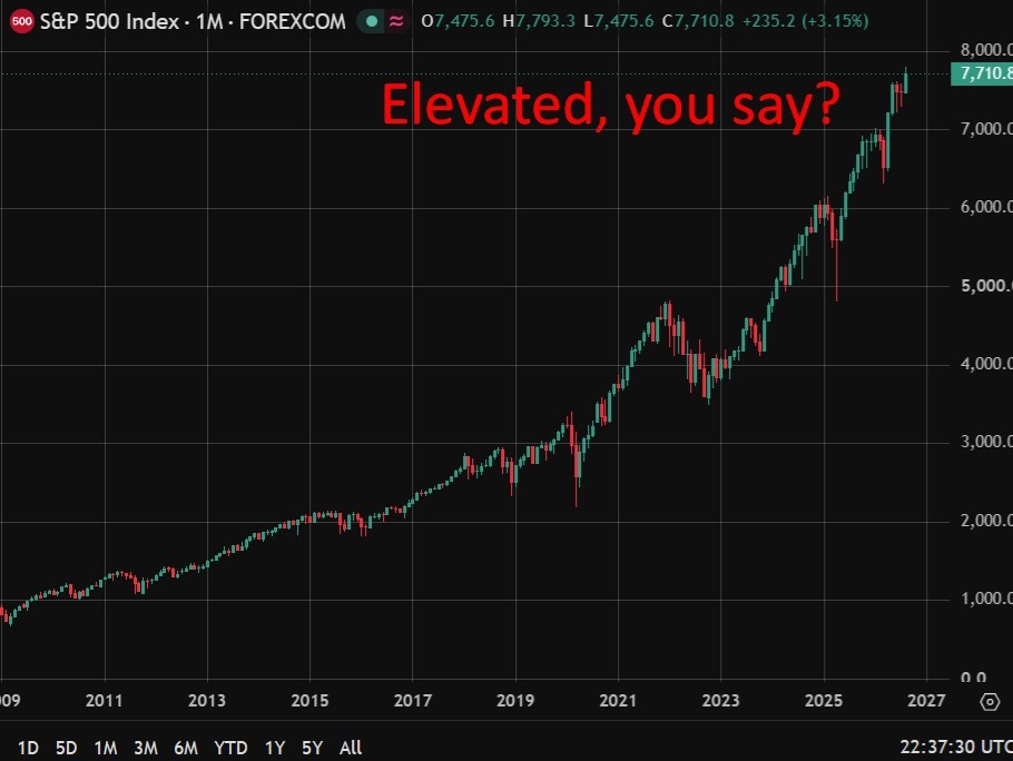 More from Fed's Musalem, says financial conditions very accommodative, asset prices elevated